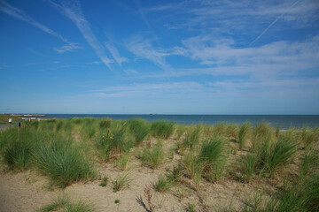 Cadsand Niederlande Holland Zeeland