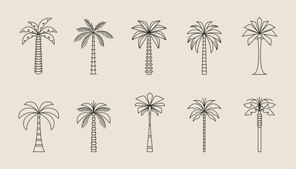 Palm tree thin line icon abstract design summer logo template modern minimal linear emblem for vacations rentals and travel services. Vector illustration © karnografff