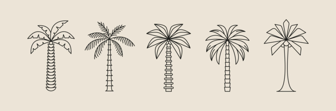 Palm tree thin line icon abstract design summer logo template modern minimal linear emblem for vacations rentals and travel services. Vector illustration