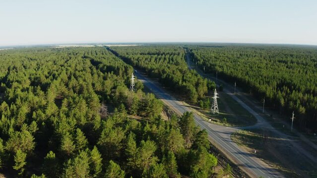 This stock video shows an evergreen pine forest through which two large highways pass. This video will decorate your projects related to nature, summer landscapes, travel.