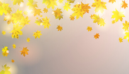 Dry autumn Canadian maple leaves fall swirling on a transparent background. Vector
