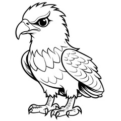 Obraz premium Hawk coloring pages Png animals