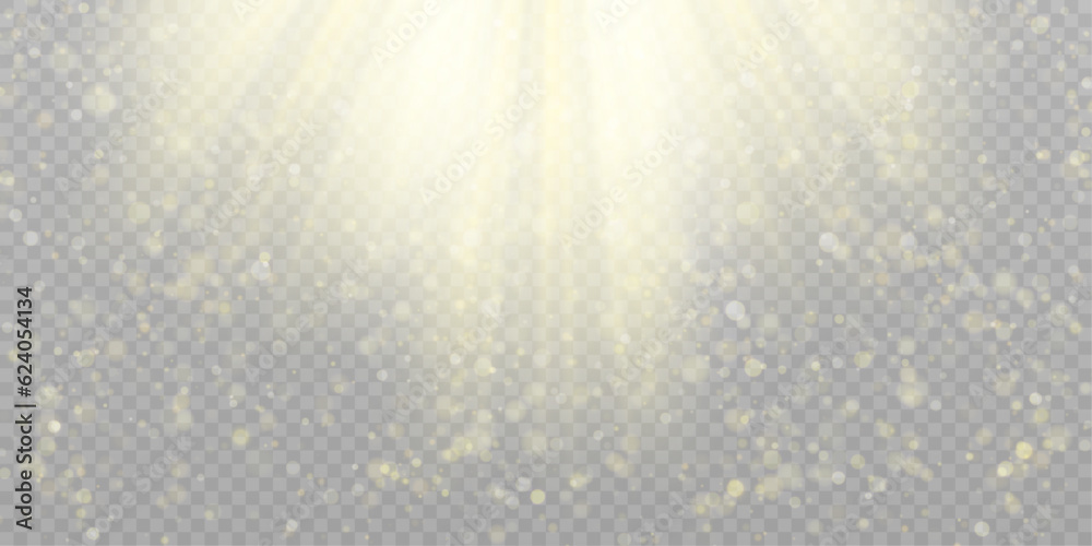 Poster bokeh of golden light. brilliant lights. christmas lights shine, dust overlay texture for design on 