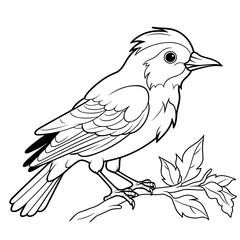 Oriole coloring pages Png animals