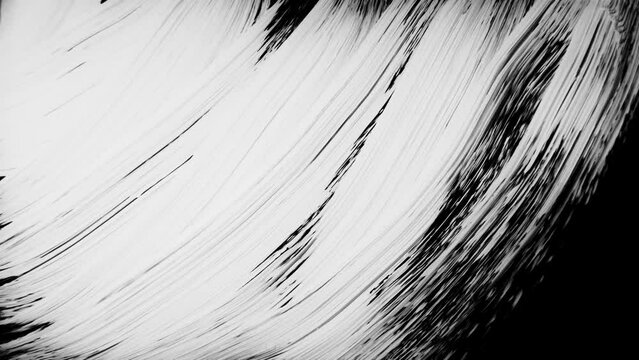Paint Brush Strokes Transition  white   on black background 