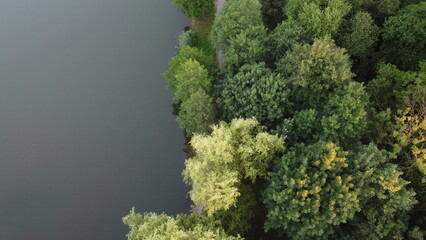 Zdjęcie jeziora i drzew z drona / Photo of the lake and trees from the drone