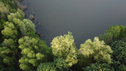 Zdjęcie jeziora i drzew z drona / Photo of the lake and trees from the drone