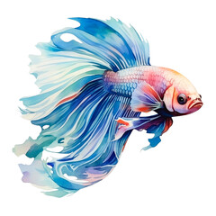 Obraz premium Water color of beautiful betta fish png clip art