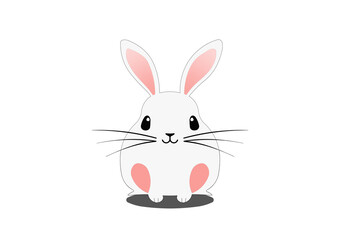 Rabbit Character