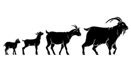 Goat Growth Stages, Animal Silhouette Set