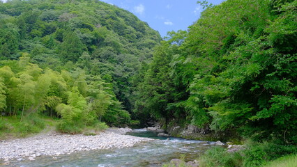Fototapeta na wymiar 川の風景