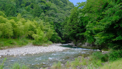 川の風景