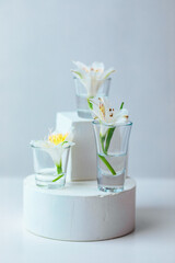 Composition with white alstroemeria flowers in glass goblets on white podiums