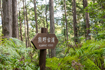 Single wooden sign along pilgrimage footpath or hiking trail Kumano Kodo trail in Japan surrounded by thick forest and undergrowth with sign Japanese characters translates Kumano Kodo