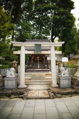 Japanese Torii gate in Kyoto. Traditional shrine gate near temples in a forest in Japan