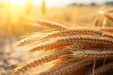 golden ears of wheat with sheaves of hay in the background. High quality photo - obrazy, fototapety, plakaty