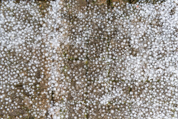 Ice pebbles from Hail have collected on the ground