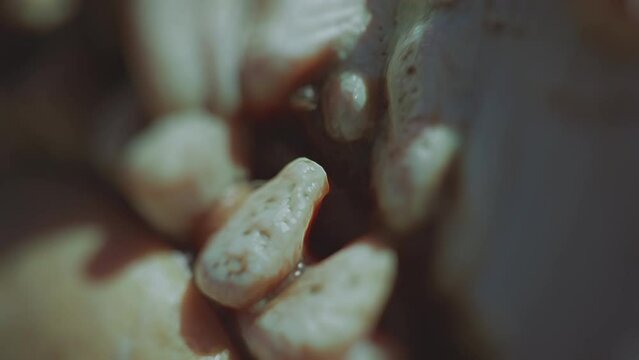 Alien body part, teeth or some internal organs. Macro, close-up. Mutant, mutated creature. Creepy, horror. Abstract organic background. Scientific experiment. Sci fi, science fiction style footage.