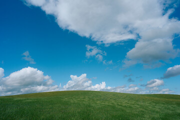 Obraz premium Image from the cultural landscape of the Balkehogda Hill, Toten, Norway, in summer.