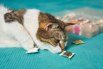 a furry cat head sniffs a bobbin with floss threads with its nose. next to it is a box for...
