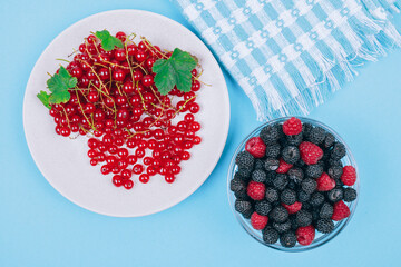 Top view of ceramic plate with fresh red currants and glass bowl with black and red raspberry on blue background.
