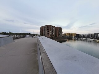embankment of the river rhine