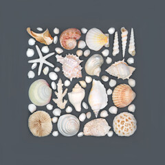 Tropical seashell collection abstract design on gray background. Abstract square shape with assorted shells. Nature design with natural varieties.