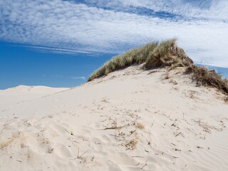 The sand dunes near the town of Leba, Poland, are a popular tourist attraction