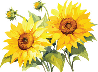 Sunflower watercolor painting illustration suitable for wedding, greeting card, fabric, textile, wallpaper, ceramic, brand, web design, stationery, cosmetic, social media, scrapbook.GenerativeAI.