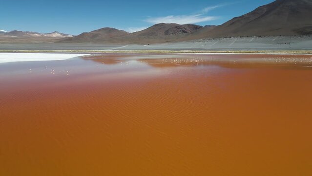 Drone footage of flamingos in the colorful Laguna Colorada in the remote Fauna Andina Eduardo Avaroa National Reserve in the Bolivian Altiplano in South America - natural look