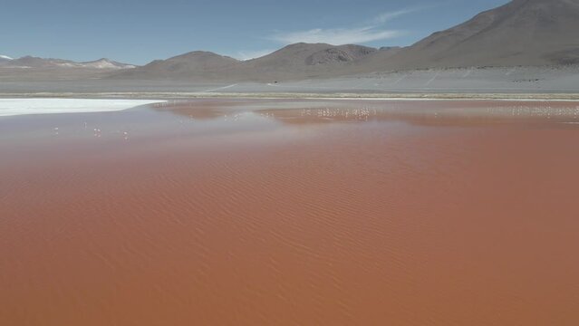 Drone footage of flamingos in the colorful Laguna Colorada in the remote Fauna Andina Eduardo Avaroa National Reserve in the Bolivian Altiplano in South America - raw version