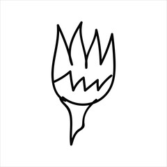 Flower illustration with isolated hand-drawn style on a white background, suitable for children to draw abstract illustrations.