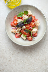 Plate of italian panzanella salad on a beige stone background, vertical shot with space, above view