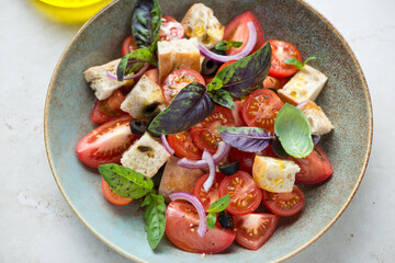Plate with tuscan-style tomato and bread salad or panzanella, middle close-up, horizontal shot, selective focus