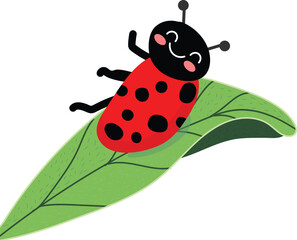 ladybug cartoon vector image