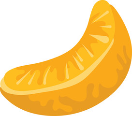 slice of orange vector image