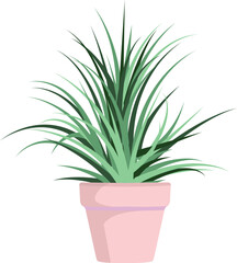 plant in a pot vector image