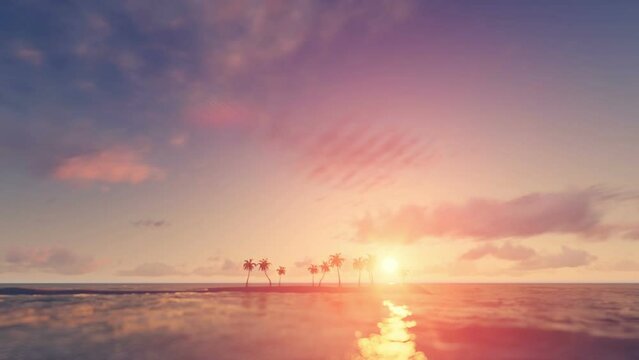 Palm Trees at Sunset Background animation