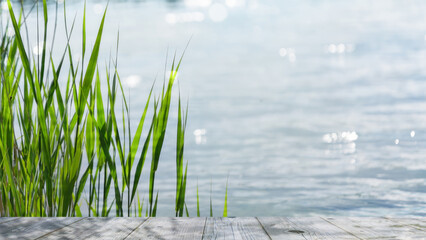 empty wooden jetty with green reed grasses lakeside in summertime, idyllic nature scene background...