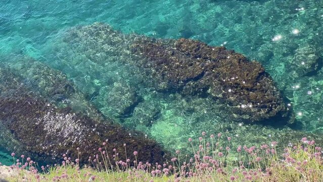 Sea glittering blue turquoise and flowers on the coastal rocks.