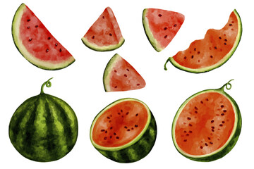 Set of watercolor juicy watermelon berries.Vector graphics.