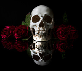 skull and roses with reflection