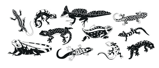 Exotic Lizards And Varans Black and White Icons Set. Captivating Reptiles Known For Their Agility, Intelligence