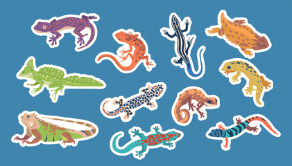 Set Of Stickers with Exotic Lizards And Varans. Reptiles with Unique Colors, Patterns And Size. Fascinating Pets