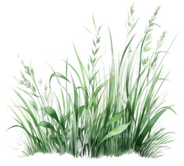 Naklejka premium Hand drawn watercolor grass isolated.