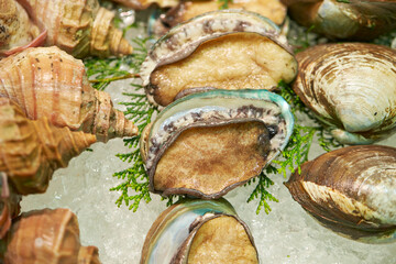 Fresh seafood on ice in traditional market
