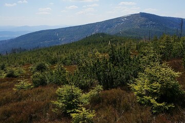 Barania Gora peak, 1,220 metres at Silesian Beskids near Szczyrk in Poland