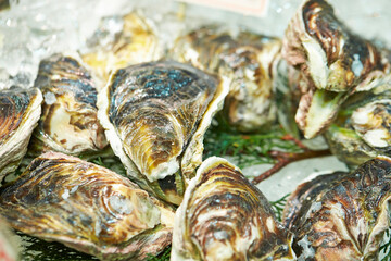 Raw oysters on ice in traditional market