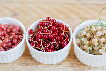 Vitamins. Summer berries. Mix of ripe organic Red, black, rose currant and gooseberry background. Close up, selective focus. Harvest Concept Copy space