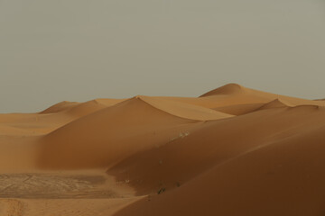 From Djemaa el fna, Marrakech, Morocco all the way east to the Sahara Camp, 4 hours in the High Atlas areas where you see locals bring their products and food for a weekly morning market in villages.